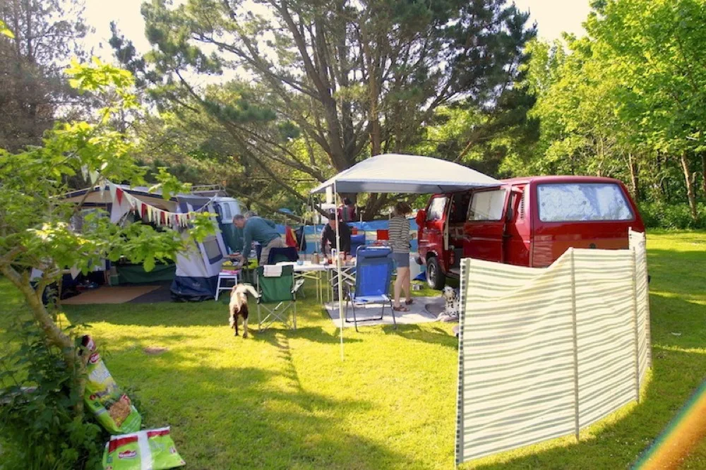 Camping in the tree field