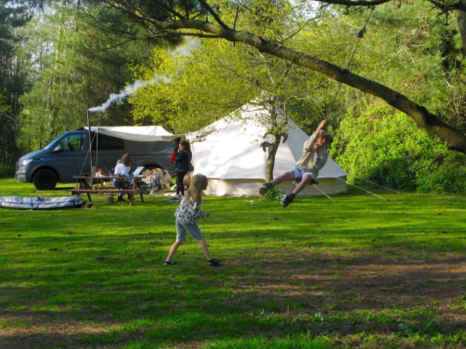 Bell tent and camper van under trees