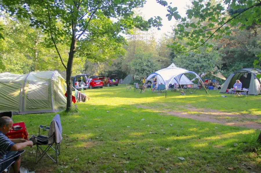 Tree Field camping area