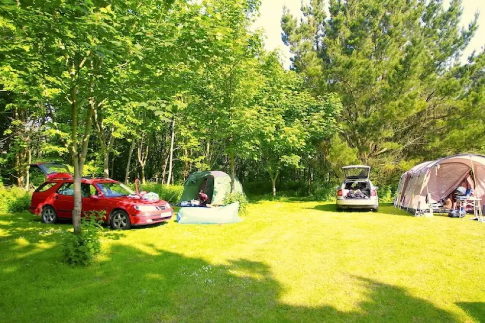 Woodland camping pitches